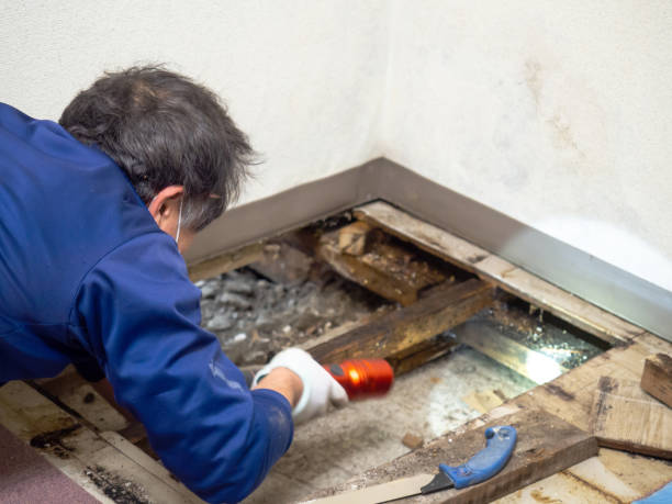 Water Damage Restoration in Tangent, OR