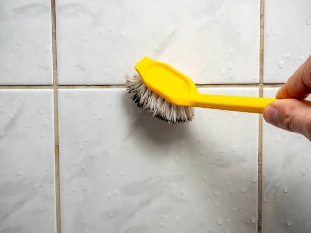  Tangent, OR Mold Removal Pros