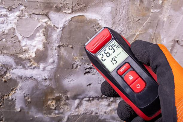 Home Mold Removal in Tangent, OR